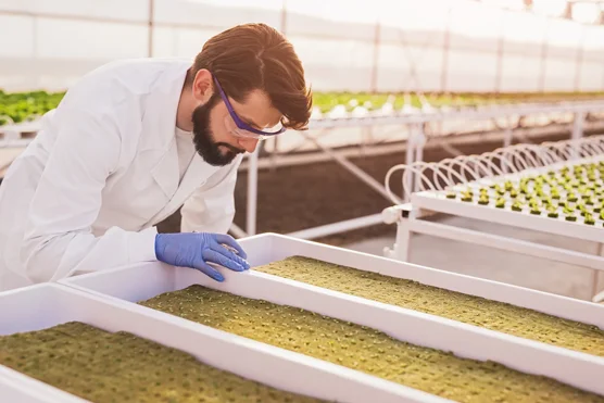Ingénieur / Ingénieure d'études et de recherche agricoles
