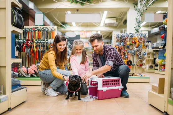 Vendeur / Vendeuse en animalerie