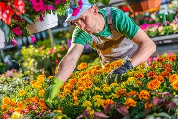 Vendeur / Vendeuse grossiste en produits frais