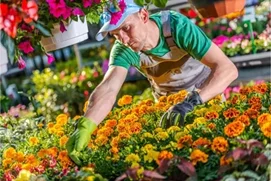 Vendeur / Vendeuse grossiste en produits frais
